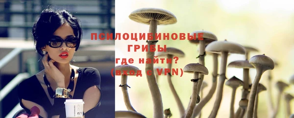 PSILOCYBIN Абинск