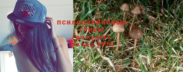 ешки Абдулино