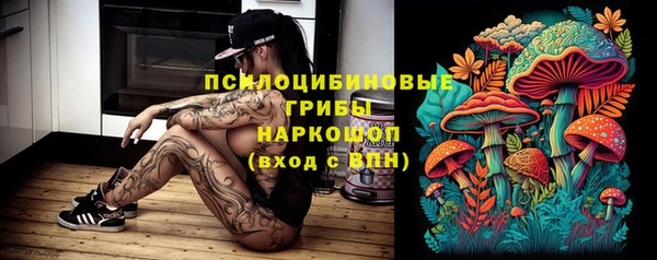 PSILOCYBIN Абинск